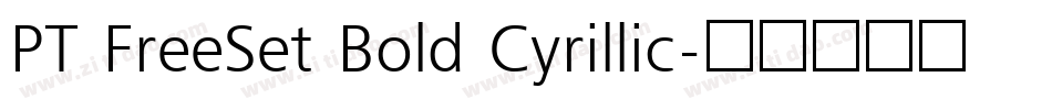 PT FreeSet Bold Cyrillic字体转换
